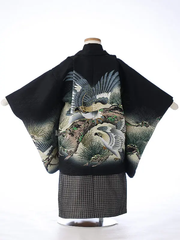 かんたん七五三（3男袴）3267 黒 鷹 松 　