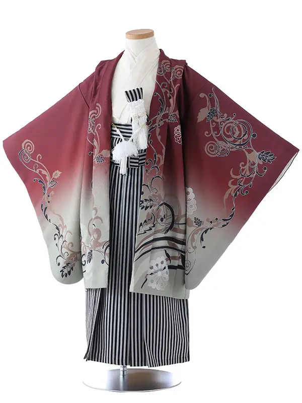 かんたん七五三（5歳男袴）5387  えんじ  桐  ツタ