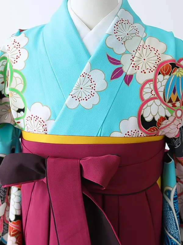 小学校卒業式ジュニア袴女0180 水色 黒 ねじり梅 菊