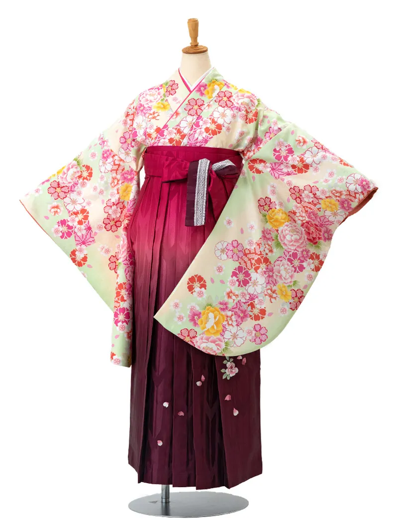 レンタル 卒業袴 二尺袖 0206 「黄緑地に疋田桜」×ピンク矢絣ボカシ刺繍袴