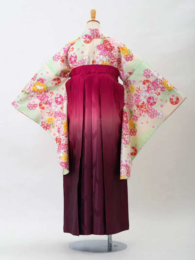 レンタル 卒業袴 二尺袖 0206 「黄緑地に疋田桜」×ピンク矢絣ボカシ刺繍袴
