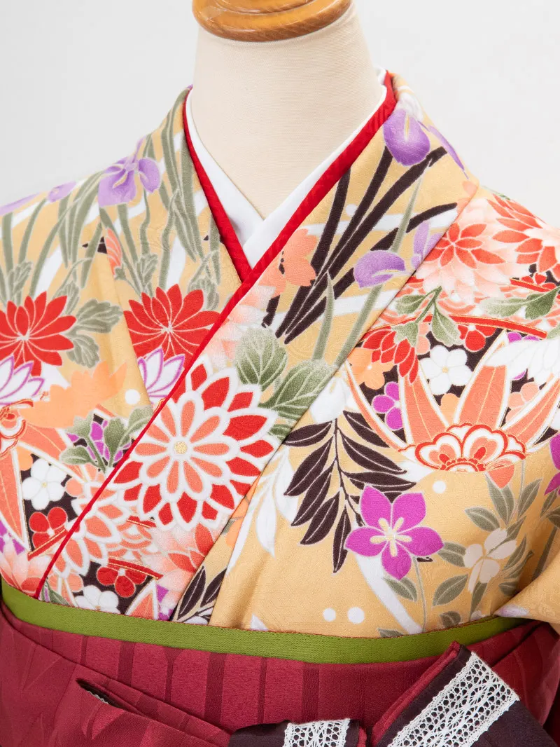 卒業式袴レンタル0207 「クリーム地にダリヤと鞠」×えんじ矢絣ボカシ刺繍袴