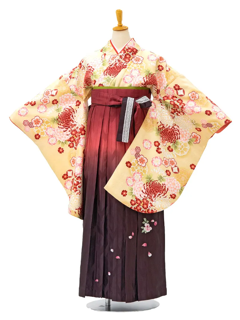 レンタル 袴 二尺袖 0215 「ｸﾘｰﾑ地に菊と小花」×えんじ矢絣ボカシ刺繍袴
