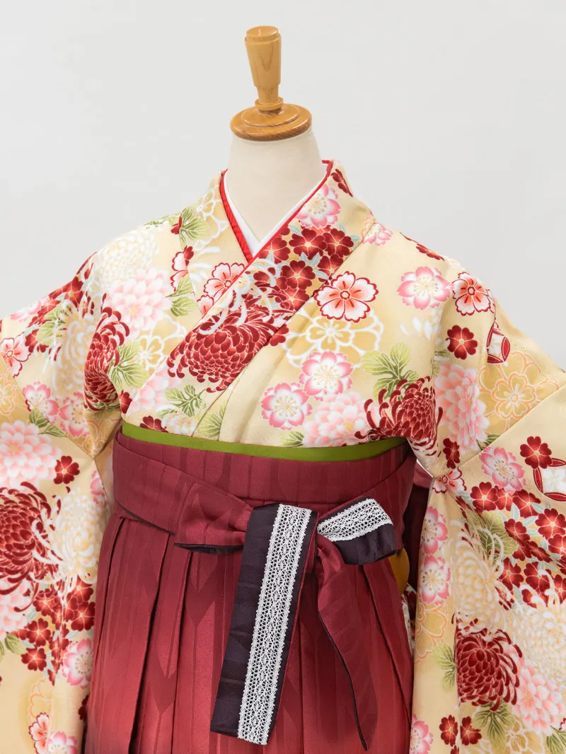 レンタル 袴 二尺袖 0215 「ｸﾘｰﾑ地に菊と小花」×えんじ矢絣ボカシ刺繍袴