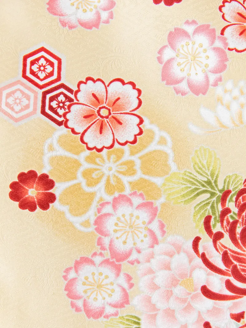 レンタル 袴 二尺袖 0215 「ｸﾘｰﾑ地に菊と小花」×えんじ矢絣ボカシ刺繍袴