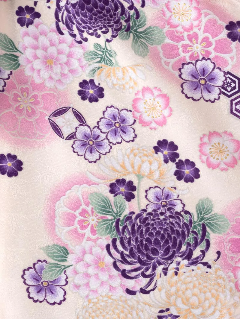 卒業袴 二尺袖 0391  「クリーム地に菊」ボカシバイカラー紫