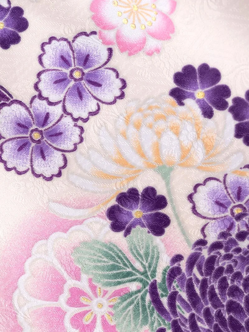 卒業袴 二尺袖 0391  「クリーム地に菊」ボカシバイカラー紫