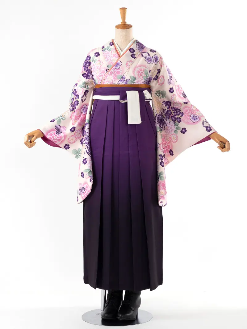 卒業袴 二尺袖 0391  「クリーム地に菊」ボカシバイカラー紫