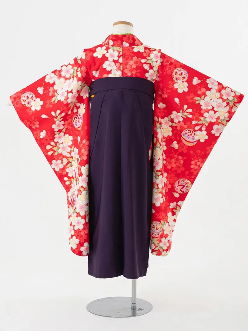 女児袴レンタル(7歳)0132 赤地に鞠と桜＆刺繍袴紫