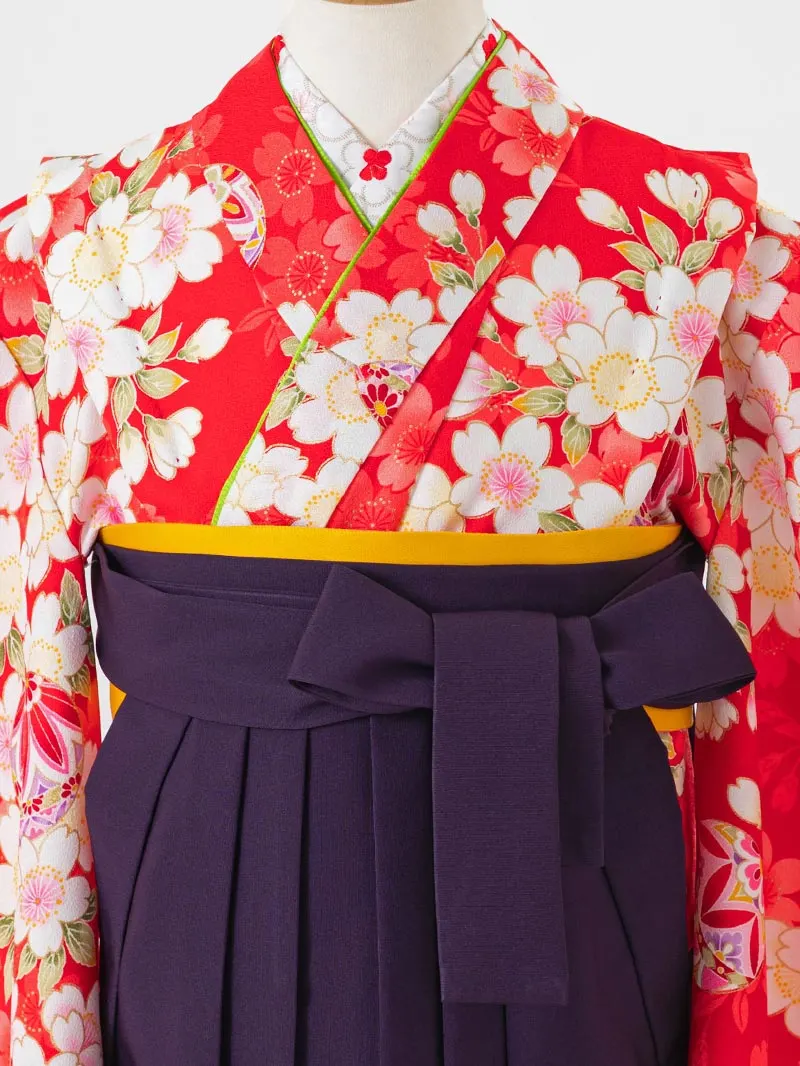 女児袴レンタル(7歳)0132 赤地に鞠と桜＆刺繍袴紫