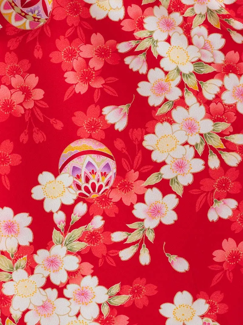 女児袴レンタル(7歳)0132 赤地に鞠と桜＆刺繍袴紫