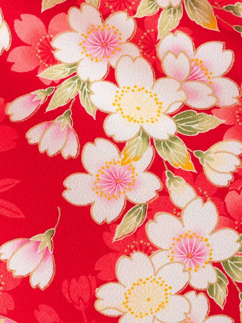 女児袴レンタル(7歳)0132 赤地に鞠と桜＆刺繍袴紫