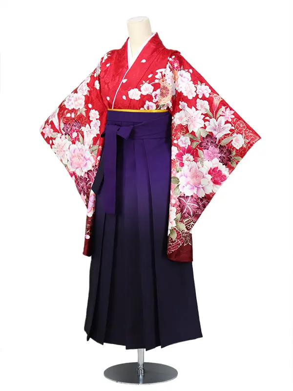 小学生袴 （女の子）/ARC004