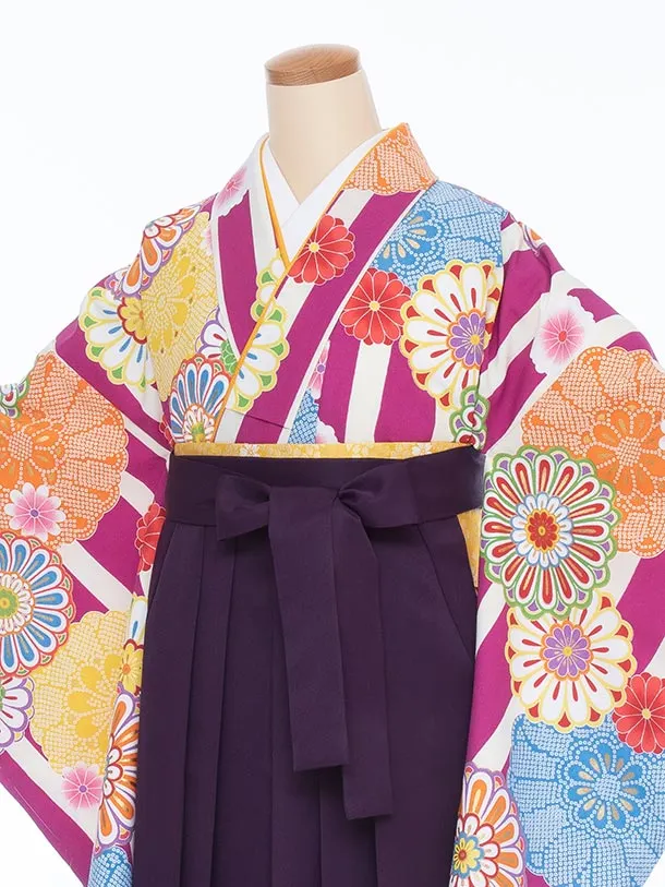 【大きい袴 トール 170ｃｍ前後】紫 よろけ縞に丸菊/紫 桜刺繍 高身長
