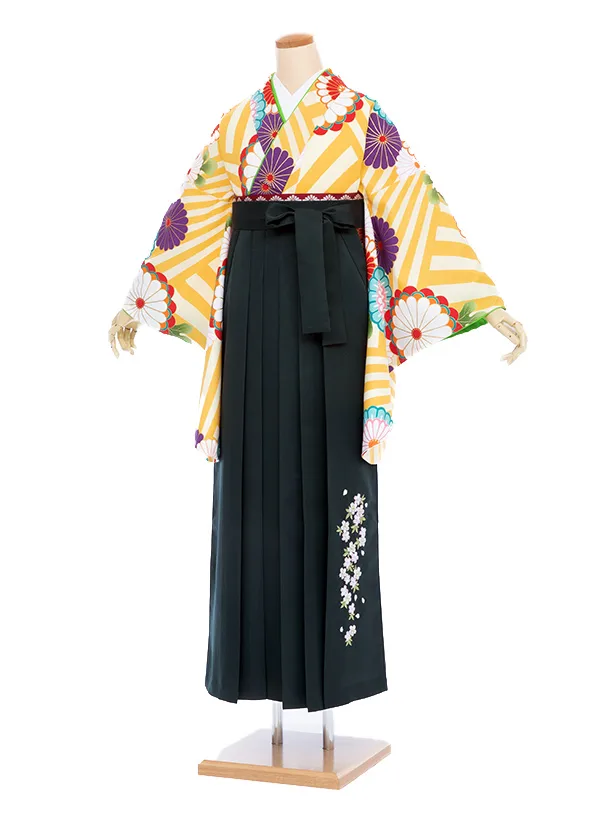 【大きい袴 トール 170ｃｍ前後】黄  丸菊/グリーン 縦桜刺繍 高身長　