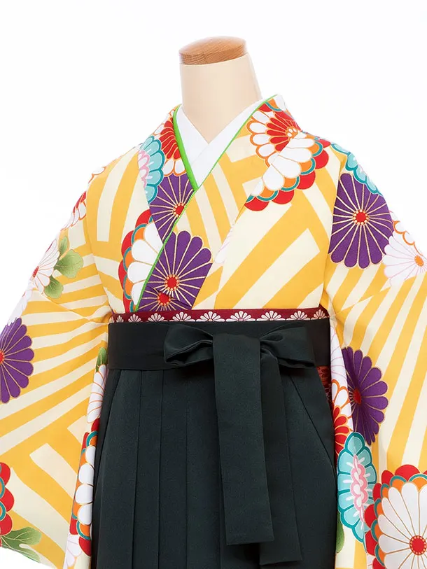 【大きい袴 トール 170ｃｍ前後】黄  丸菊/グリーン 縦桜刺繍 高身長　
