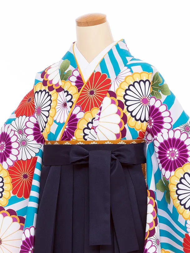 【大きい袴 トール 170ｃｍ前後】水色  白 丸菊/紺 桜刺繍 高身長