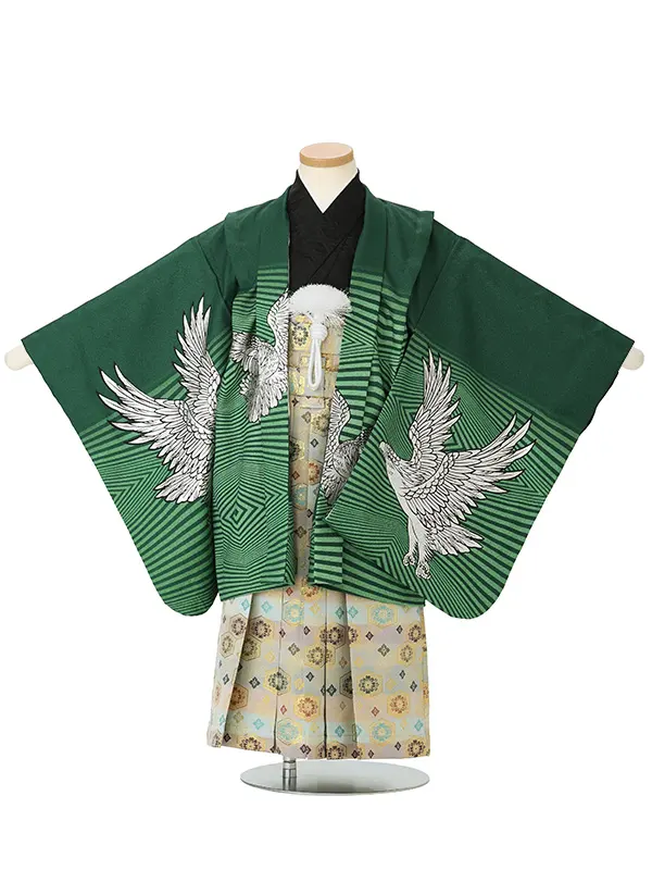 【金彩】タカ　グリーン　　着物黒