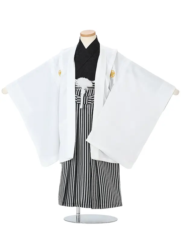 【金刺繍紋】白紋付　着物黒