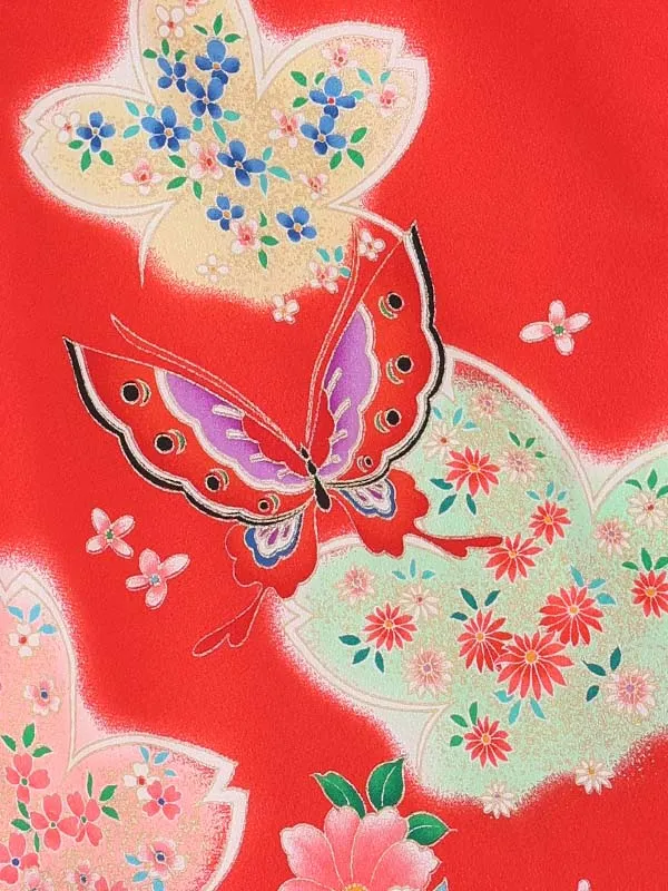 【絵羽】【刺繍】橘白　蝶赤