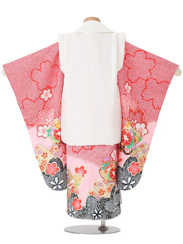 【絵羽】【刺繍】まり白　疋田風花車赤黒