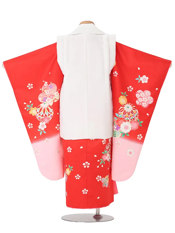 【絵羽】【刺繍】桜白　花車赤