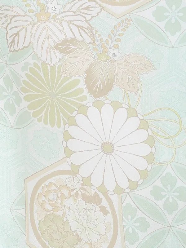 【絵羽】菊　薄グリーン