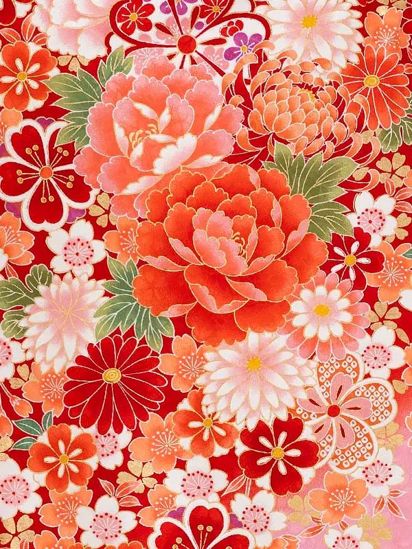 女児卒園袴【刺繍袴】ぼたんに乱菊　赤ピンク