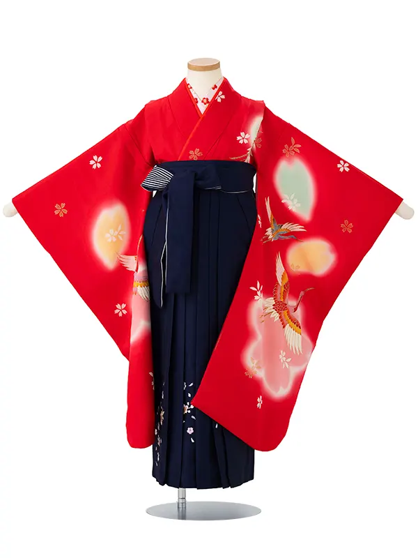 女児卒園袴【正絹】【刺繍袴】【手描友禅】飛翔鶴　赤