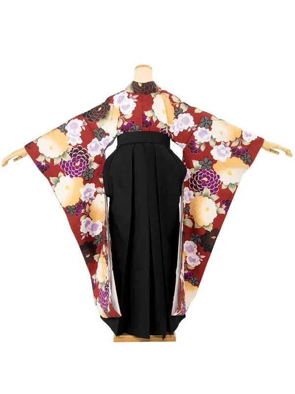 女性 振袖 袴【13】ren-hms0615-04/ACS254