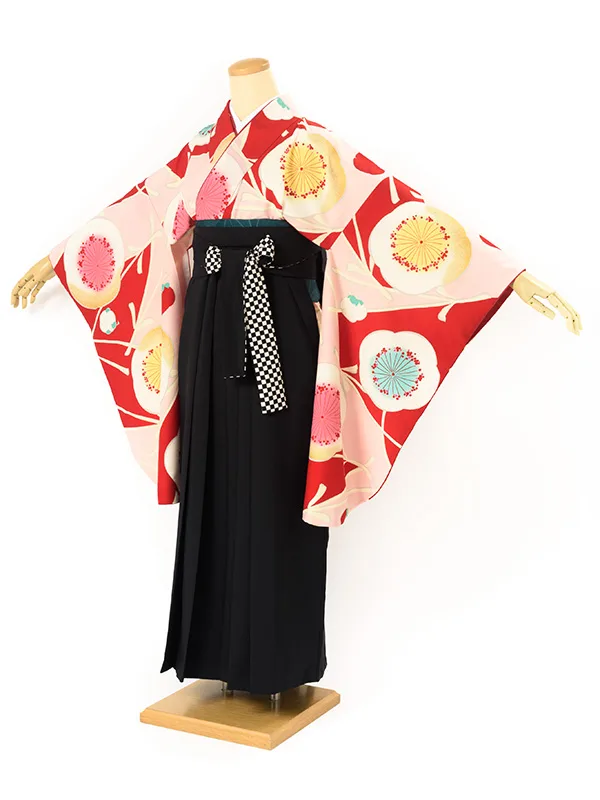 女性 袴【6】ren-hms0894-04/EL0494