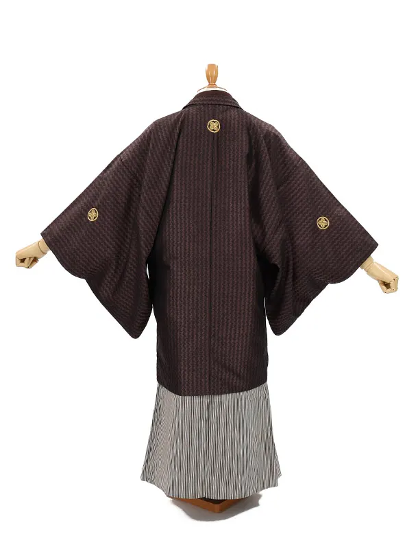 男性用袴　ジオメトリック茶17586