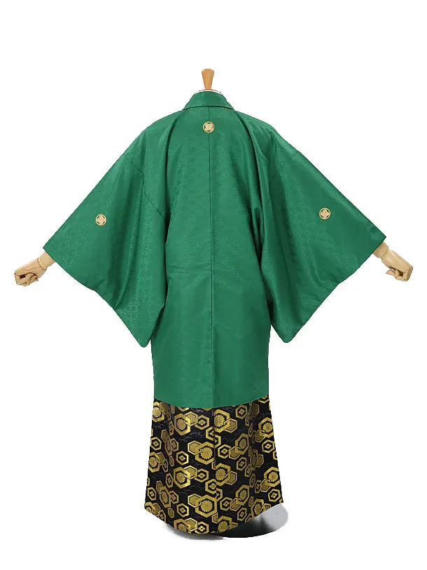 男性用袴　グリーン217071　紋袴亀甲