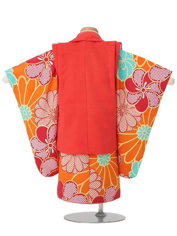 七五三(2歳女児被布)A164 朱色菊×オレンジ菊