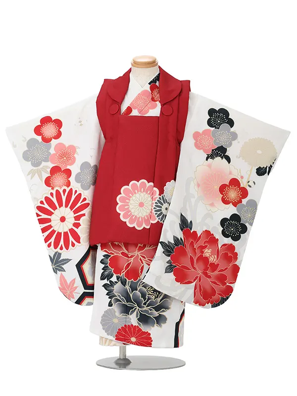 七五三(3歳女児被布)A170 濃赤菊×白花づくし