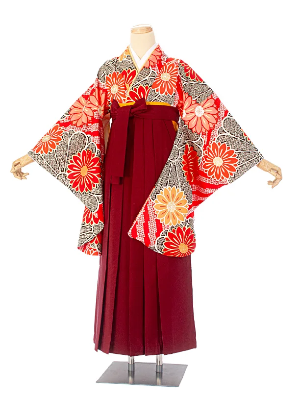 卒業式袴 D0046 赤疋田 花×エンジ袴