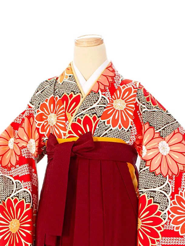 卒業式袴 D0046 赤疋田 花×エンジ袴