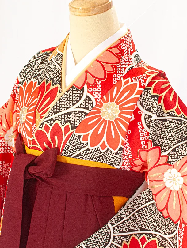 卒業式袴 D0046 赤疋田 花×エンジ袴