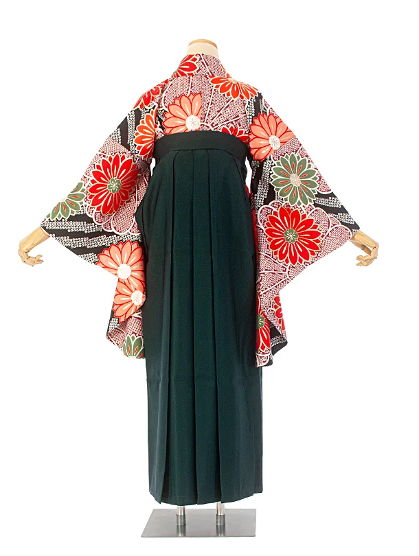 卒業式袴 D0047 黒疋田 花×濃緑袴