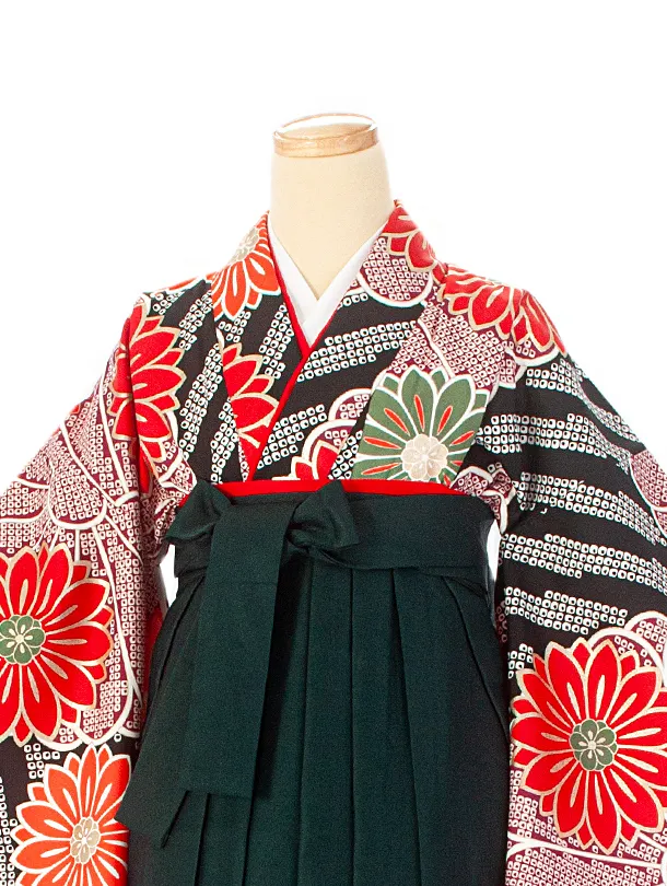 卒業式袴 D0047 黒疋田 花×濃緑袴