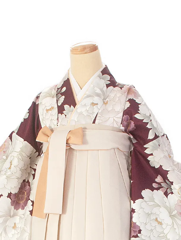 卒業式袴 D0069 ワイン 芍薬×アイボリー クリーム