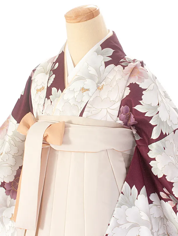 卒業式袴 D0069 ワイン 芍薬×アイボリー クリーム