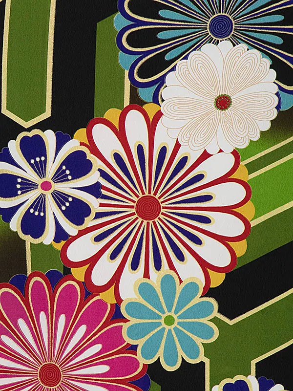 卒業式袴 DR28 菊 亀甲 緑系着物×蝶 星刺繍 紺袴