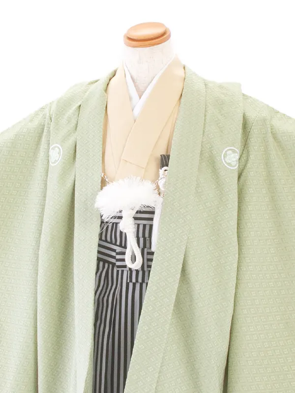[かんたん着付]七五三(5歳袴)D5047 薄緑 羽織×縞袴