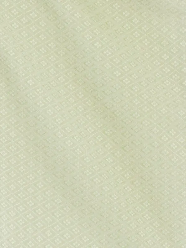 [かんたん着付]七五三(5歳袴)D5047 薄緑 羽織×縞袴