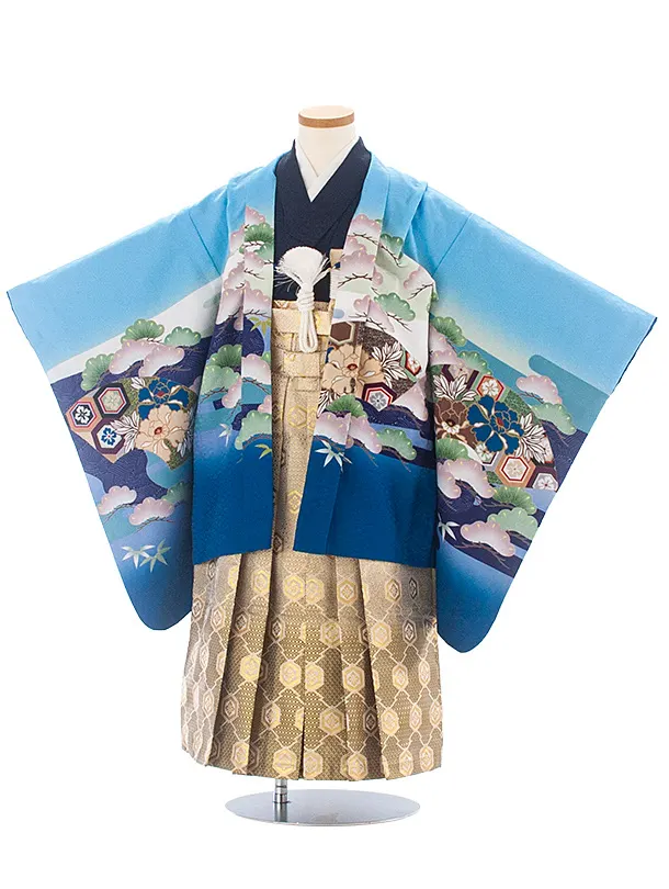 [かんたん着付]七五三(5歳6歳袴)D5081 水色 兜×ベージュ茶 亀甲