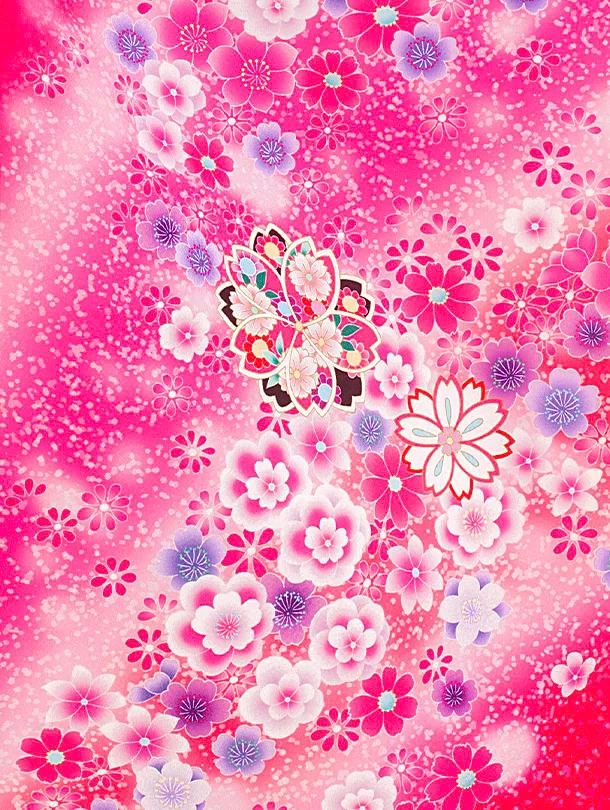 七五三レンタル(7歳女児結び帯) D7081 マゼンタ 桜 花