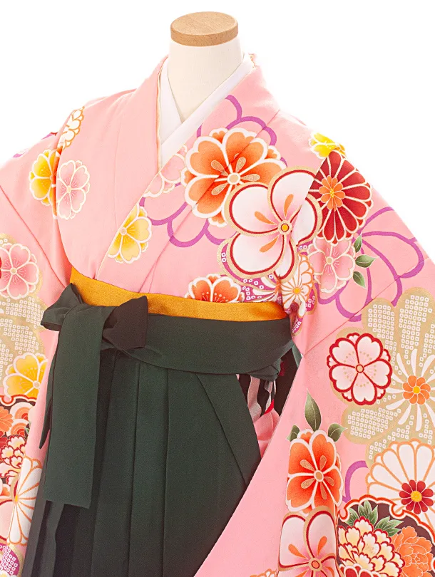 小学生卒業袴(女の子)D005 ピンク ねじり梅 花×緑ぼかし袴