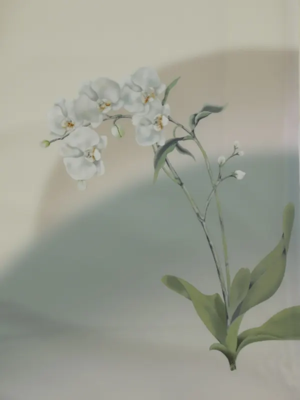 訪問着レンタル　胡蝶蘭/クリーム