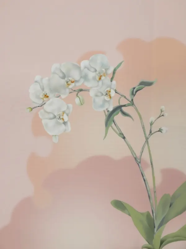 訪問着レンタル　胡蝶蘭/ピンク